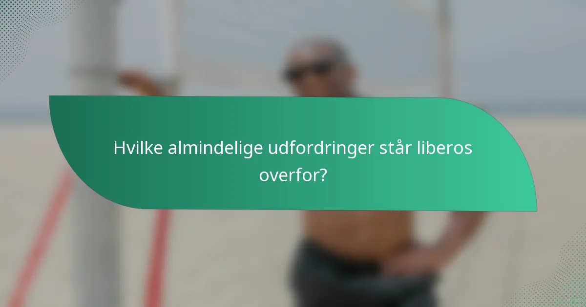 Hvilke almindelige udfordringer står liberos overfor?