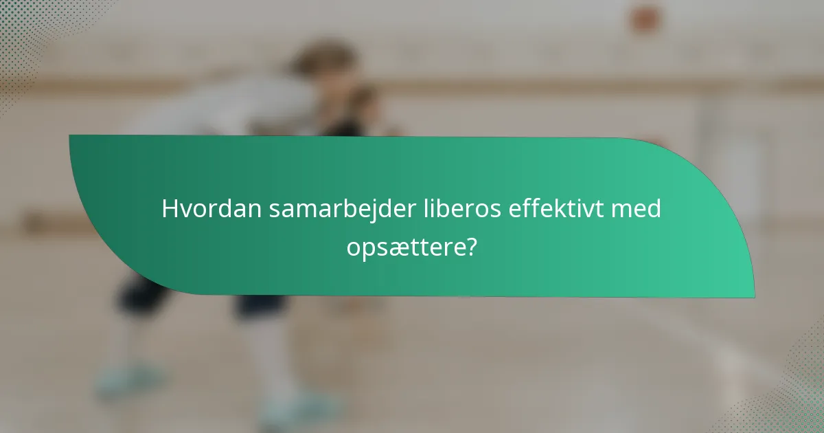 Hvordan samarbejder liberos effektivt med opsættere?