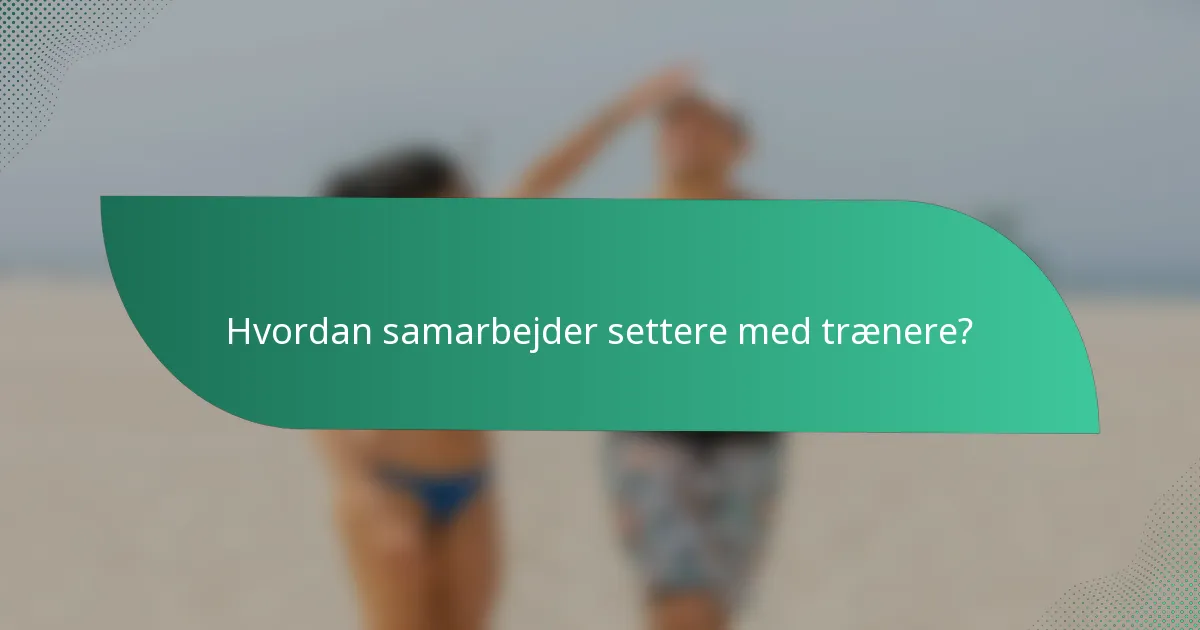 Hvordan samarbejder settere med trænere?